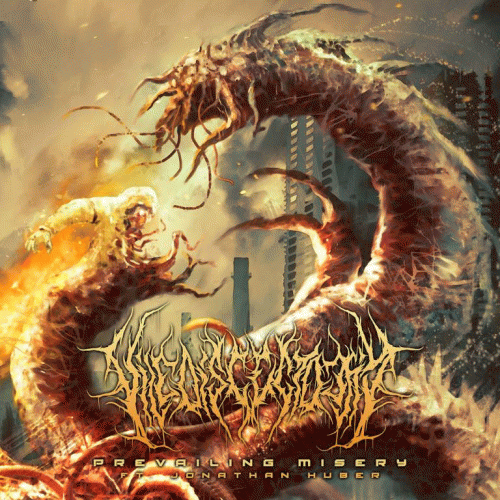 Vile Discectomy : Prevailing Misery